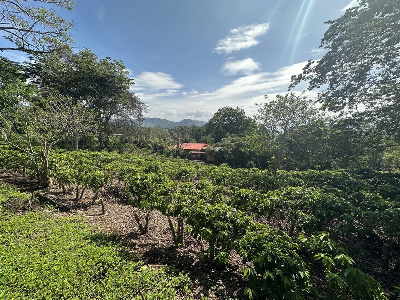 Land For Sale in Atenas Costa Rica